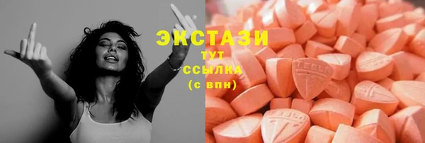 ECSTASY Богородицк